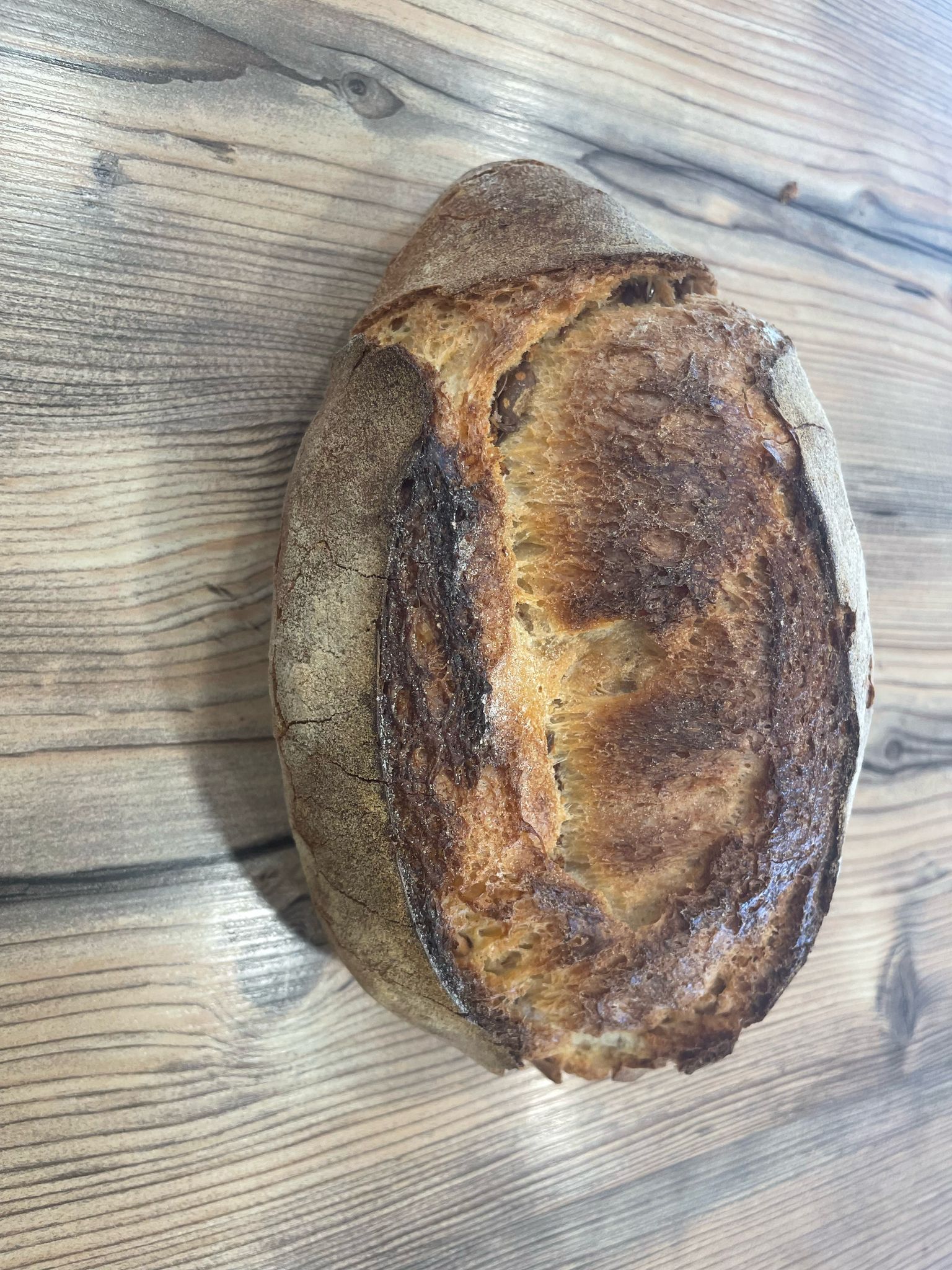 Pane Rustico